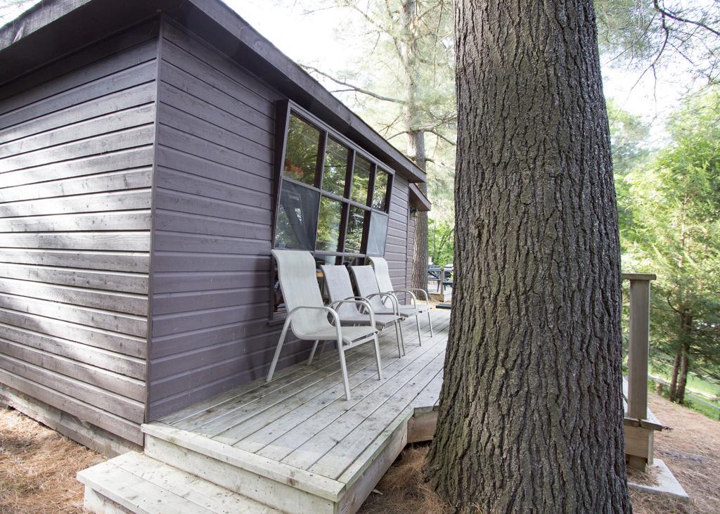 The Pines Cottage Resort Oxtongue Lake Εξωτερικό φωτογραφία
