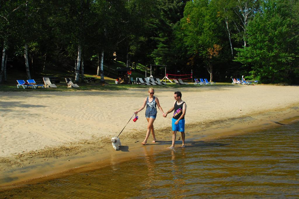 The Pines Cottage Resort Oxtongue Lake Εξωτερικό φωτογραφία