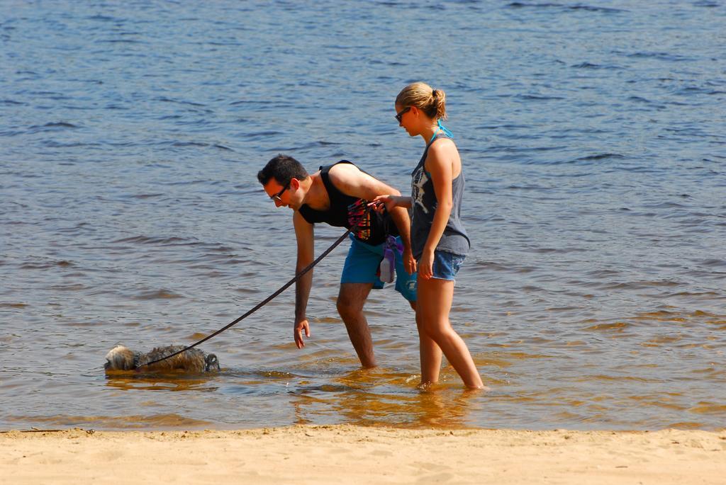 The Pines Cottage Resort Oxtongue Lake Εξωτερικό φωτογραφία