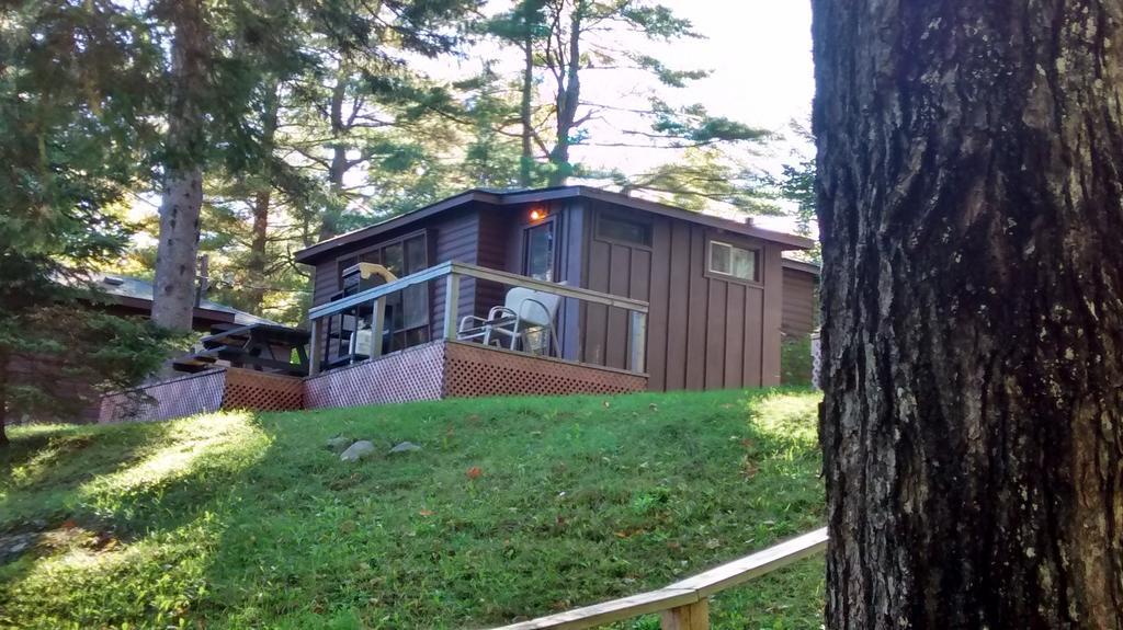 The Pines Cottage Resort Oxtongue Lake Δωμάτιο φωτογραφία